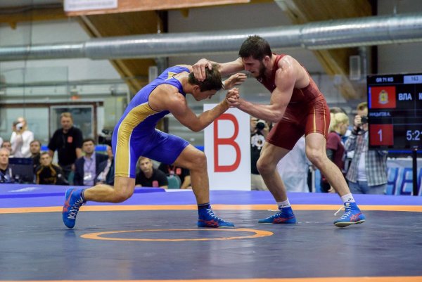 Чемпионат России по греко-римской борьбе
