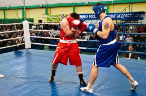 В Краснодаре прошли юбилейные соревнования по боксу