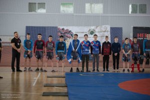 Первенство России по ММА