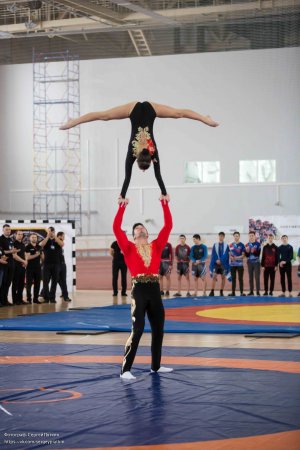 Первенство России по ММА