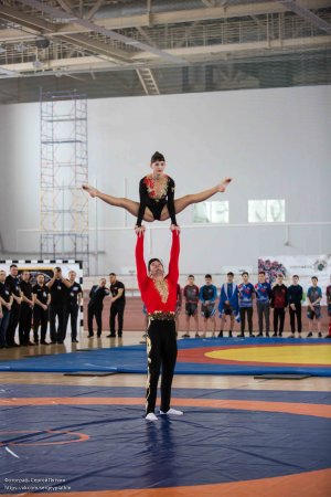 Первенство России по ММА