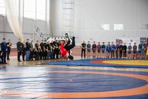 Первенство России по ММА