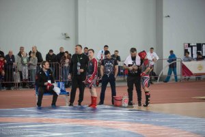 Первенство России по ММА