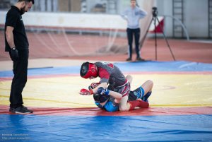 Первенство России по ММА