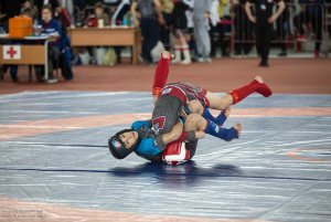 Первенство России по ММА