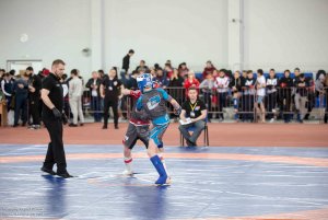 Первенство России по ММА