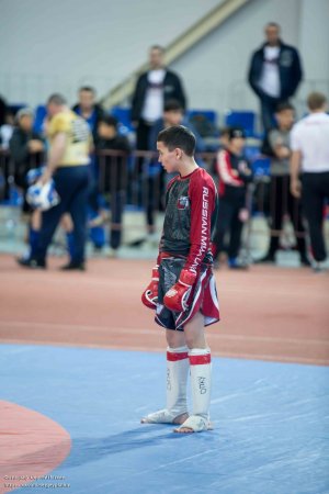 Первенство России по ММА
