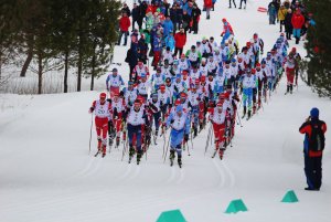 Чемпионат России по лыжным гонкам 2019