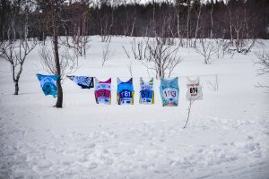 Марафон Праздника Севера