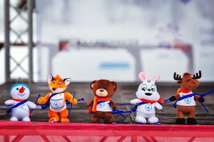 Соревнования по биатлону