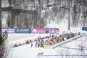 Соревнования по биатлону