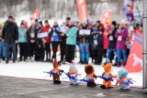 Соревнования по биатлону