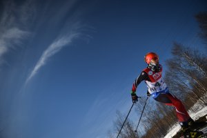 Соревнования по биатлону