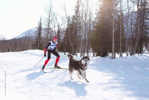 Кубок России по ездовому спорту