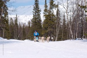 Кубок России по ездовому спорту