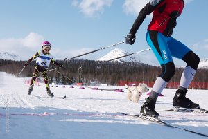 Кубок России по ездовому спорту