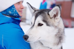 Кубок России по ездовому спорту