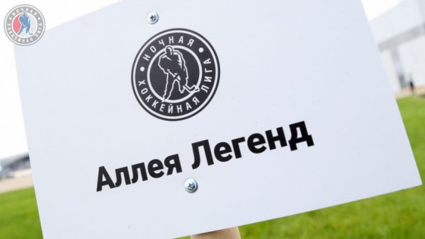 Восемь елочек - восемь сезонов. В Олимпийском парке появилась аллея Ночной Лиги