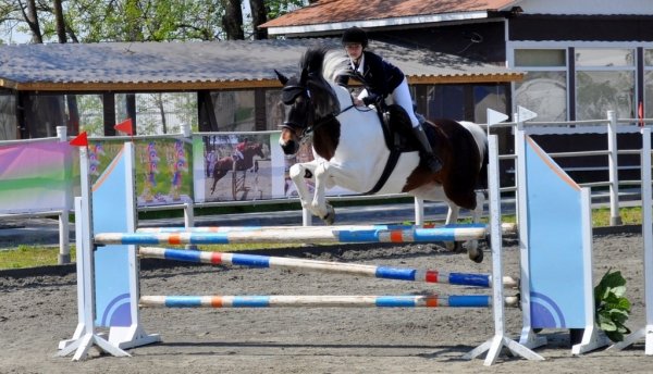 Посёлок Южный принял чемпионат и первенство Южного Федерального округа по конкуру