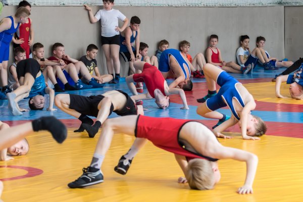 Спортивная школа или секция? Что лучше?