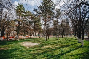 В Краснодаре в сквере «Пограничников» будет сделана спортивная площадка