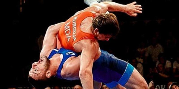 Чемпионат России по вольной борьбе пройдет в Сочи 4-8-го июля