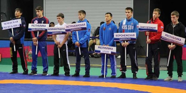 Кубанские спортсменки сумели завоевать награды Международного турнира по вольной борьбе в Испании