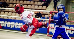 Какой вид спорта подойдет ребенку