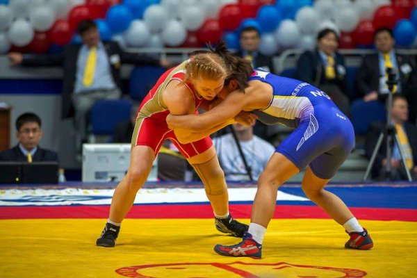 Чемпионат мира по спортивной борьбе