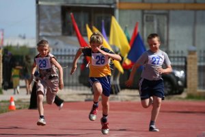 Соперничество между детьми: инструкция для родителей