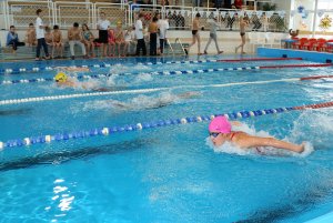 Турнир по плаванию памяти Разночинцева