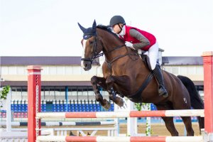 Спортсмены из Краснодара завоевали медали всероссийского турнира по конному спорту