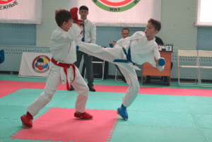 В Краснодаре провели соревнования по карате среди спортсменов ЮФО