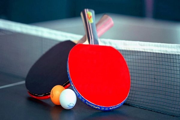 В Сочи прошли краевые соревнования по теннису на призы олимпийской чемпионки