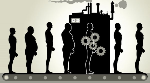 Как питаться и тренироваться в зависимости от типа телосложения?