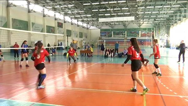 Первенство любительской волейбольной лиги