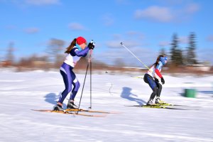 Развитие гибкости в лыжной подготовке