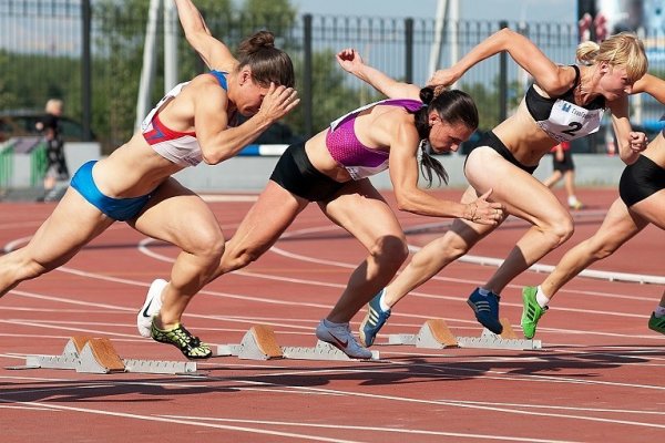 Спорт как одна из форм культуры. Виды спорта