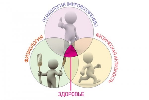 «Состав» здоровья
