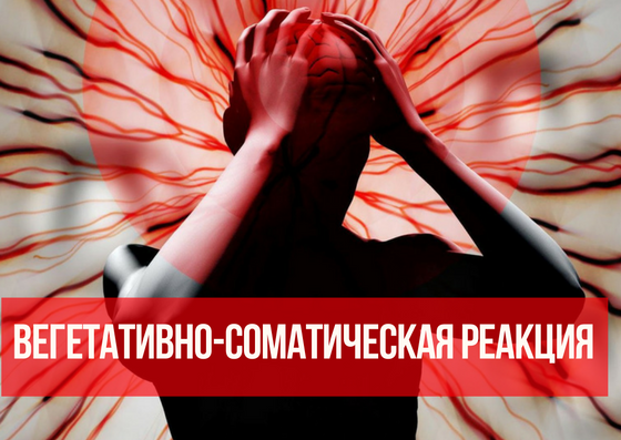 Два различных типа вегетативных реакций
