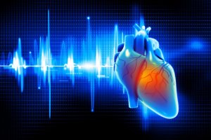 Максимальная частота сердечных сокращений при физической нагрузке