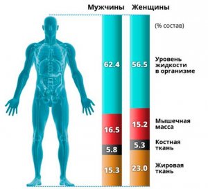 Определение состава тела (общего содержания жира, активной обезжиренной массы) юных спортсменов