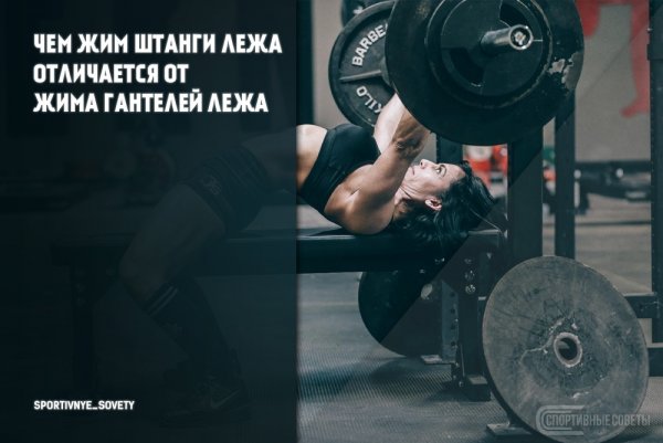 Чем жим штанги лежа отличается от жима гантелей лежа