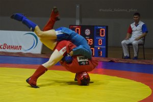 Кубанские самбисты завоевали четыре медали Кубка России
