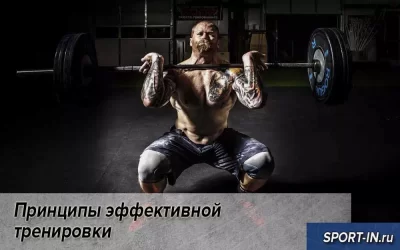 Принципы эффективной тренировки