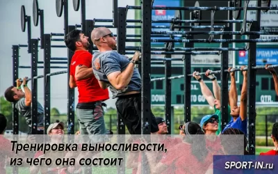 Тренировка выносливости, из чего она состоит