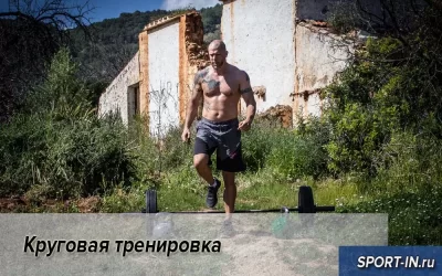 Круговая тренировка
