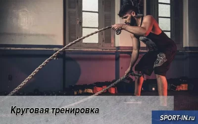 Круговая тренировка