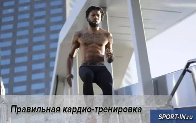 Правильная кардио-тренировка