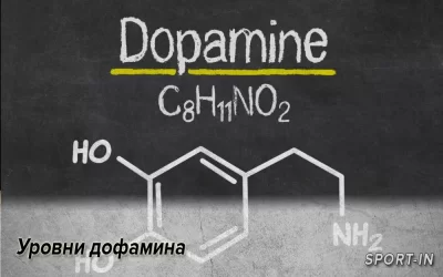 Уровни дофамина